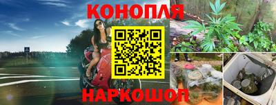 гашиш Кимры