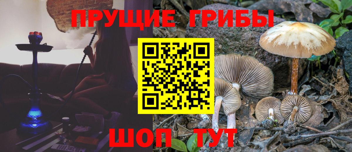 Улан-Удэ  Галлюциногенные грибы прущие грибы  Вход с VPN 